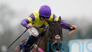 Kerry Lee narrowing down Nemean Lion options