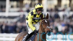 ‘Sore’ Arkle favourite Sir Gino misses Game Spirit run
