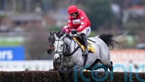 ‘No negatives’, as L’Eau Du Sud gets set for Kingmaker action