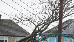 ESB chief&rsquo;s claim that customers will cover storm costs &lsquo;insensitive&rsquo; &ndash; Tanaiste