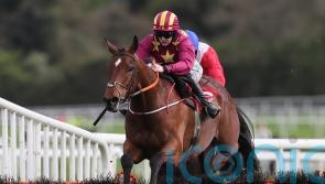 Indo returns to hurdles at Navan as Grand National preparation gathers pace