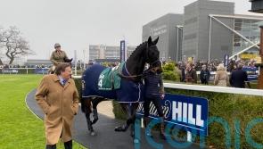 Sprinter Sacre and Altior continue to pull crowds during Newbury parade