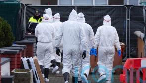 Search in missing Meath mother murder probe continues