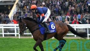 Le Milos rolls back the years with Warwick win