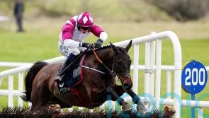 Maxxum finds more from the front for Boyne Hurdle success