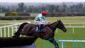 Better Days Ahead holds off stablemate Stellar Story at Navan
