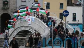 Irish government urged to enact trade ban with Israeli settlements within a year