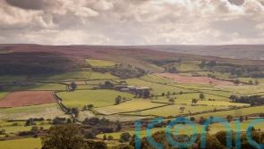 Top coach tours for a no-hassle holiday in 2025