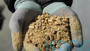 Further subsidies to wood-burning power plant ‘deeply concerning’