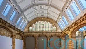 Natural History Museum’s first fixed gallery in years to explore ‘broken planet’