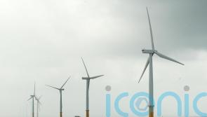 ‘Highest level’ of security given to wind farms, No 10 says, amid China worries