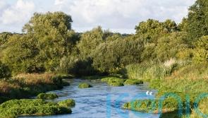 Country estate fined £28,000 for taking too much water from rare chalk stream