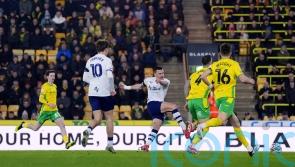 Milutin Osmajic earns Preston battling win at Norwich