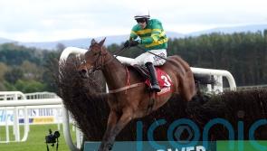 Further setback scuppers Impervious Festival hopes