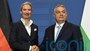 Hungary’s Orban calls AfD leader ‘the future of Germany’