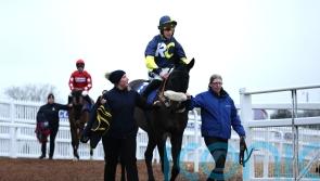 Wendigo warms up for Cheltenham with easy Wetherby win
