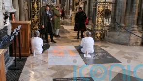 Just Stop Oil protesters deny damaging Charles Darwin’s grave