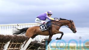 Gwennie May Boy is a notable winner for Charlie Todd