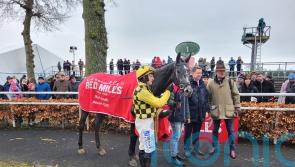 Future looks bright for Kitzbuhel after Gowran Park strike