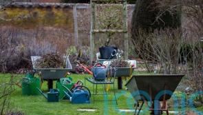 How to get your garden spring-ready