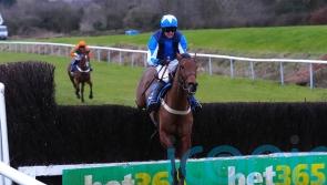 Luca Morgan delighted with start to new venture