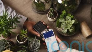 Chase overtakes Monzo as Britain’s favourite bank, survey shows