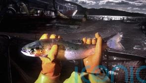 Fish farm firm has ‘special’ plans after buying uninhabited island