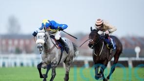 Iroko and Kandoo Kid lead Kempton Trophy contenders