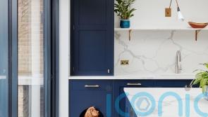 How to create a pet-friendly home without sacrificing style