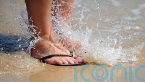 Holiday firms report surge in long-haul bookings