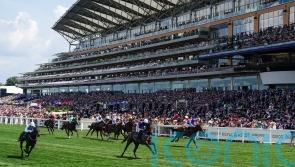 Murray: Valiant Force back to the horse we saw as a two-year-old
