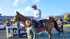 Jade De Grugy enhances Mares’ Hurdle claims at Punchestown