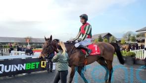 Gameofinches in a different league to emerge as Champion Bumper favourite