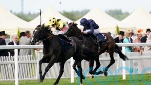 Burke backing Royal Champion to reign in Winter Derby