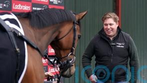 ‘I love everything about him’ – The New Lion ready to roar at Cheltenham