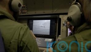 Sweden investigating damaged cable in the Baltic Sea
