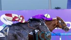 Heart Of Honor just misses out in Dubai, but UAE Derby dream ‘still alive’