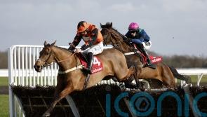 Mambonumberfive a big hit, as Mondo Man disappoints