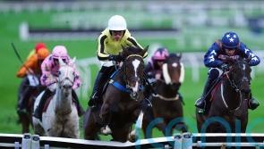 County ‘probably’ favoured over Champion Hurdle for Burdett Road