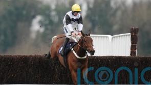 Greatrex looking forward to Cheltenham with Herakles Westwood