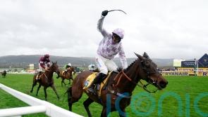 &lsquo;Niggly issue&rsquo; for Golden Ace not expected to derail Festival bid