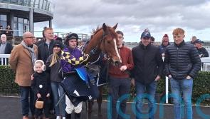 Bacchanalian to stay at home rather than go to Cheltenham