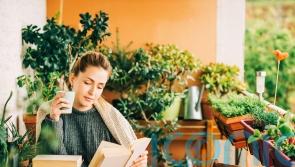 How to create an outdoor reading space in a small garden