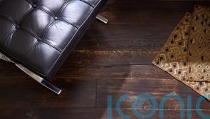 How to fix those annoying creaky floorboards