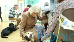 Queen reveals she has adopted rescue puppy