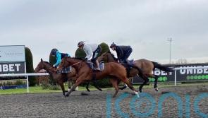 Lulamba and Palladium both ‘super’ in Kempton workouts