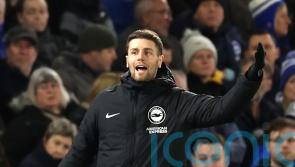 Fabian Hurzeler refuses to take credit for impact of Brighton sub Danny Welbeck