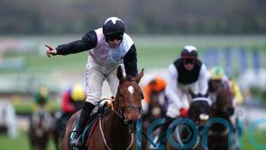 Teahupoo carrying plenty of confidence into Stayers’ Hurdle defence