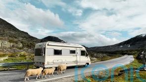 Planning a budget motorhome or campervan break? Here’s all you need to know