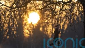 March weather will start more like a lamb than a lion, Met Office says